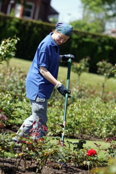 swansea gardener