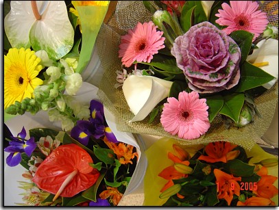 Florists